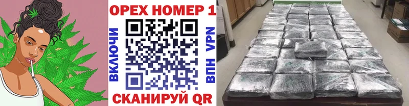 магазин продажи наркотиков  Балахна  COCAIN Эквадор 