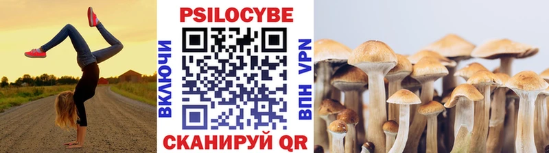 блэк спрут как войти  цена наркотик  Балахна  Псилоцибиновые грибы мицелий 